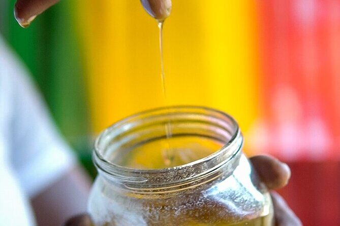 Grenada Full-Day Tour: Sulphur Springs, Rum , Lake & Chocolate - An In-Depth Look at the Itinerary