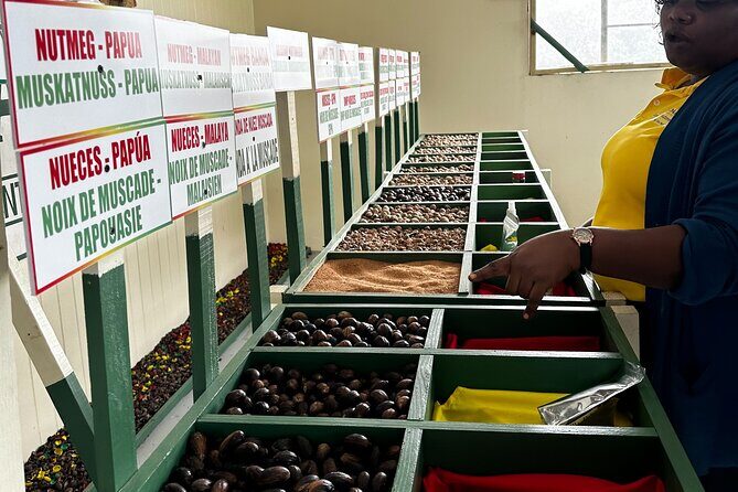 Grenada Half Day Tour: Fort, Spice, Falls, Chocolate & Lunch Stop - Final Thoughts: Is This Tour Worth It?