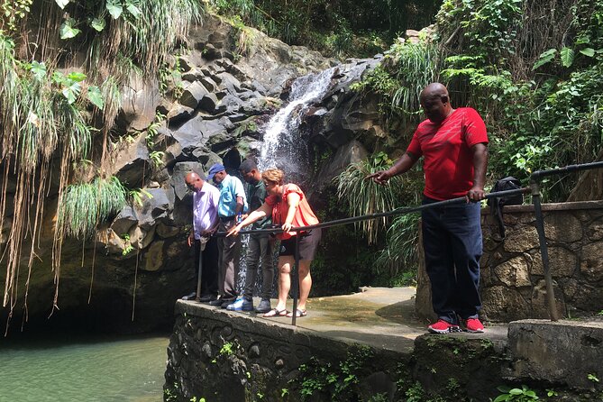 Grenada Highlights Tour With Waterfall Swim, Trail Walk  - St. Georges - Traveler Reviews and Pricing Details