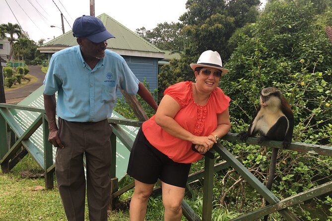 Grenada Highlights Tour With Waterfall Swim, Trail Walk  - St. Georges - The Sum Up