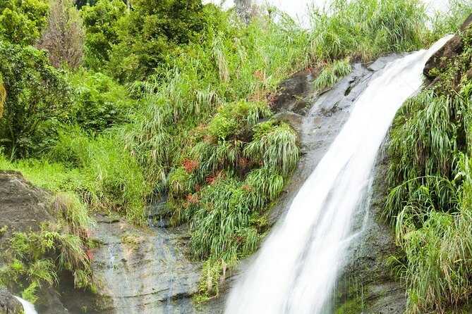Grenada Must-See Places Western Island Tour - Cancellation Policy