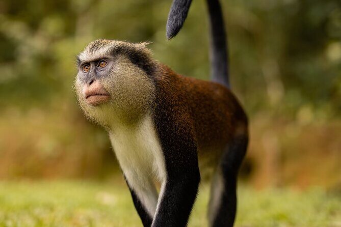 Grenada Nature and Heritage Escape Private Tour with Pickup - Good To Know