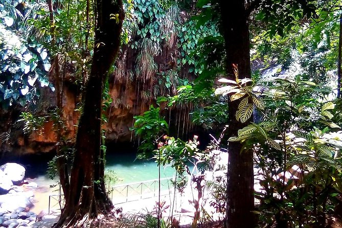 Grenada Private Half- or Full-Day Historic Tours (Feb ) - Tour Pricing and Booking Details