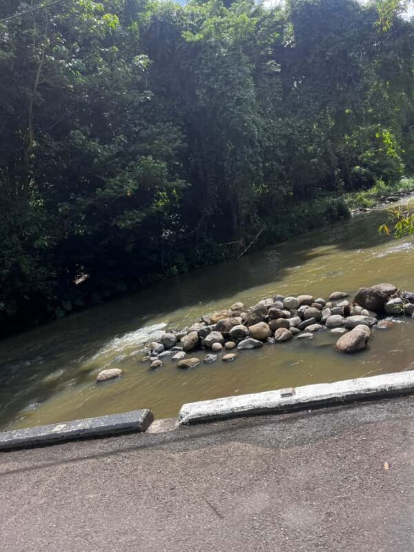 Grenada: River Tubing Adventures - An Honest Look at the Grenada River Tubing Experience