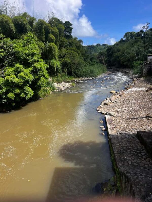 Grenada: River Tubing Adventures - Practical Details and Tips for Travelers