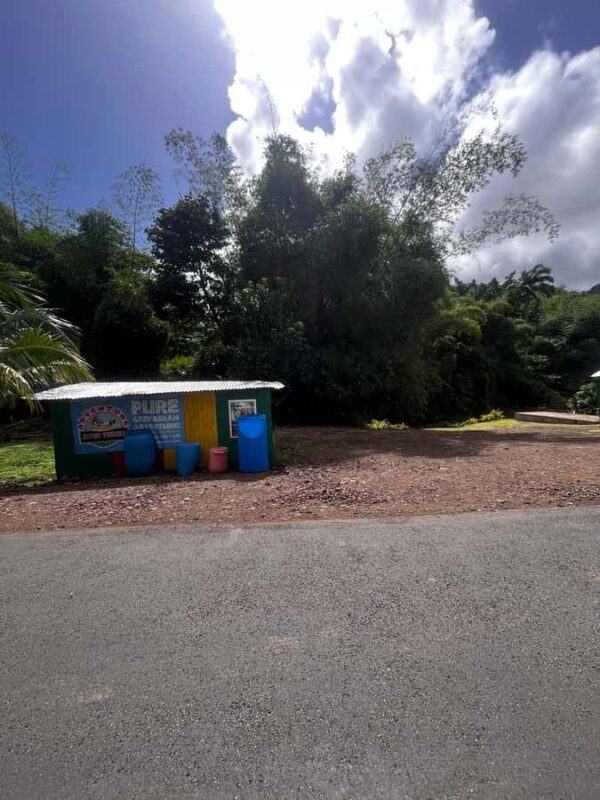 Grenada: River Tubing Adventures - Why This Tour Is a Great Choice