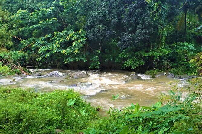 Grenada River Tubing and Annandale Falls Private Tour - What Makes This Tour Stand Out