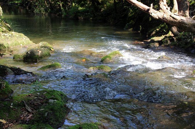 Grenada River Tubing and Annandale Falls Private Tour - Final Words