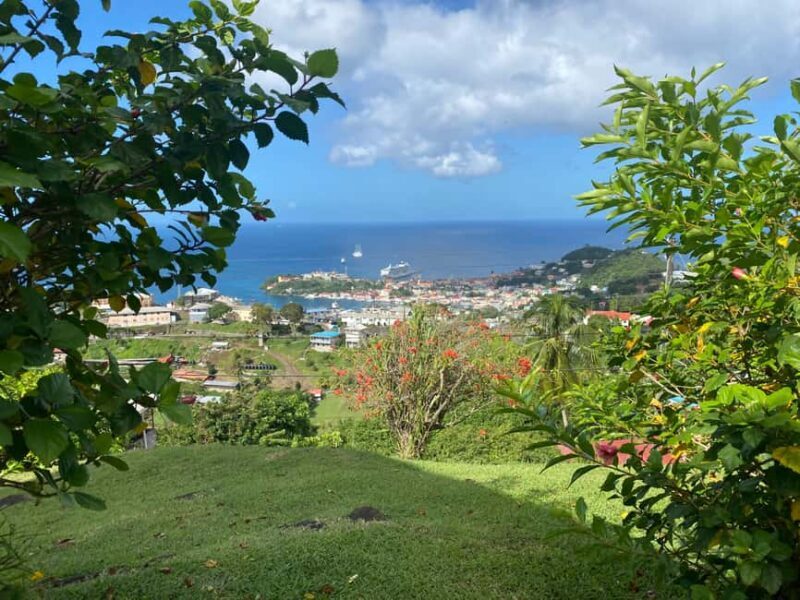 Grenada: Spice and Herb Garden Tour with Beach Visit - Who Will Love This Tour?