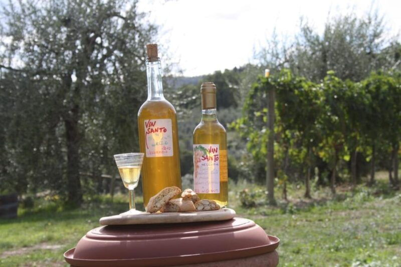 Greve in Chianti: Cooking Class with Chianti Wine Tasting - Greve in Chianti: Cooking Class with Chianti Wine Tasting — An Authentic Taste of Tuscany
