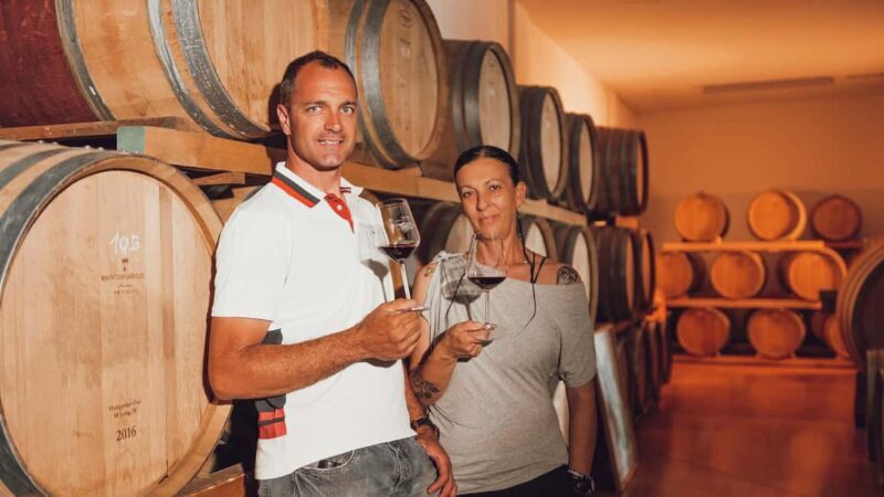 Greve in Chianti: Tour and tasting of organic Chianti Classico and Tuscan snacks - Discover Tuscan Flavors and Wines at Greve in Chianti