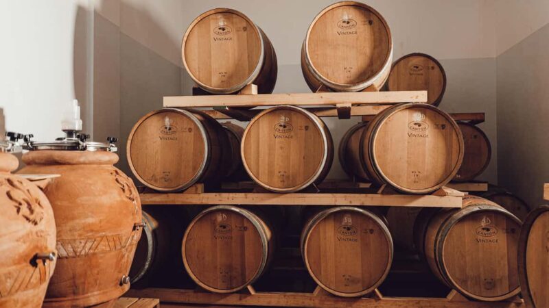 Greve in Chianti: Tour and tasting of organic Chianti Classico and Tuscan snacks - Good To Know