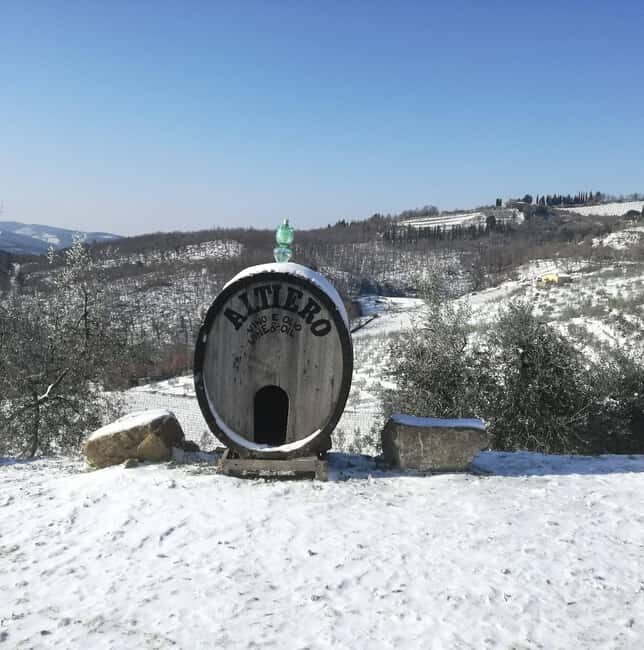 Greve in Chianti: Tour and tasting of organic Chianti Classico and Tuscan snacks - What Past Visitors Say