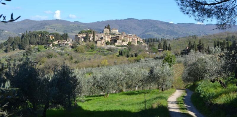 Greve in Chianti: Wine tasting and visit to our small winery - An Authentic Taste of Tuscany in a Small-Scale Setting