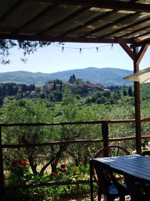 Greve in Chianti: Wine tasting and visit to our small winery - Overall Value and Experience