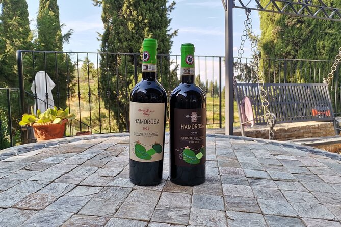 Greve in Chianti Wine Tasting and Winery Tour - Overview and What To Expect