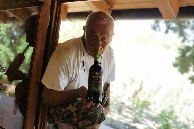 Greve in Chianti Wine Tasting and Winery Tour - Vineyard Tour