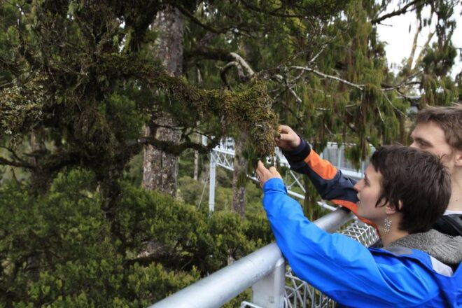Greymouth: Full-Day Best Of The West Tour - Pancake Rocks and Blow Holes