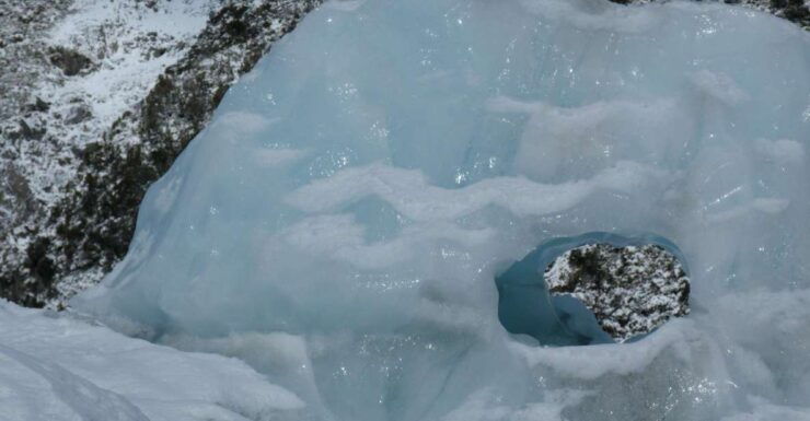 Greymouth: Glacier, Heritage & Wildlife Centre Guided Tour - Tour Experience