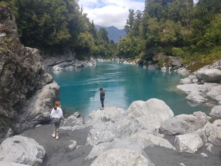 Greymouth: Hokitika Gorge and Tree Top Walkway Half-Day Tour - Highlights of the Tour