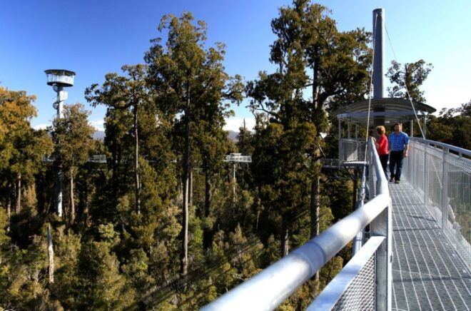 Greymouth: Hokitika Gorge and Tree Top Walkway Half-Day Tour - Positive Customer Reviews