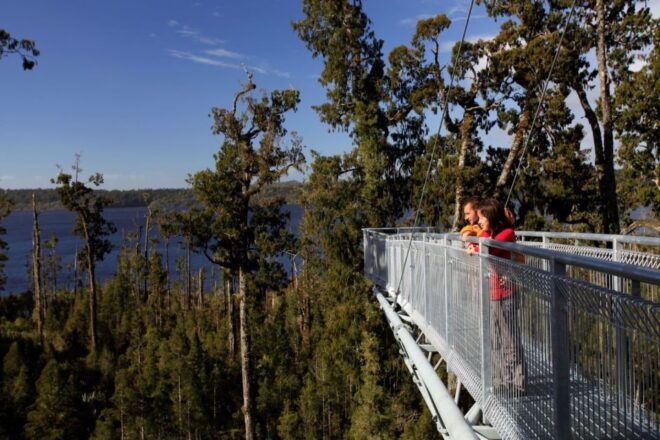 Greymouth: Hokitika Gorge and Tree Top Walkway Half-Day Tour - Common Questions