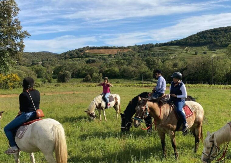 Grimaud: Horseback Riding & Wine Tasting in Maures Forest - What to Bring for Your Adventure