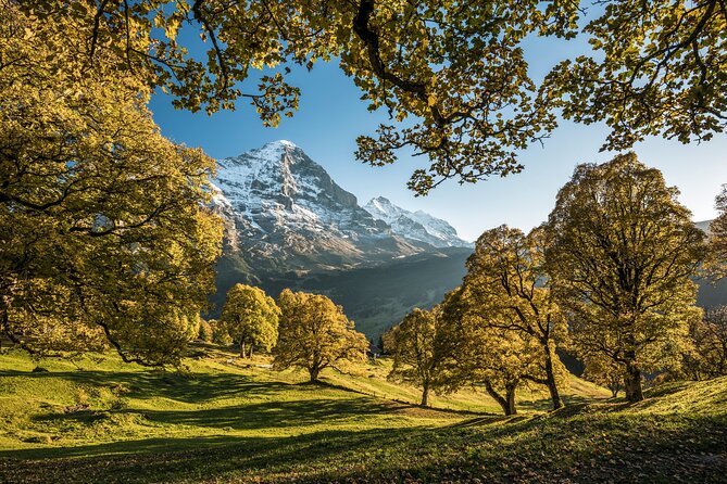 Grindelwald and Interlaken Independent Day Trip From Lucerne - Activities and Attractions