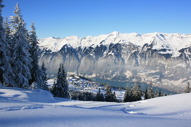 Grindelwald and Interlaken Independent Day Trip From Lucerne - Tour Feedback and Recommendations