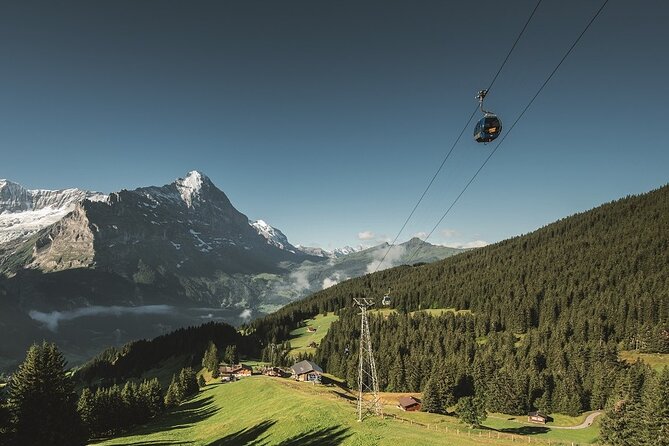Grindelwald First - Top of Adventure From Lucerne - Overview of Lucernes Adventure Tour