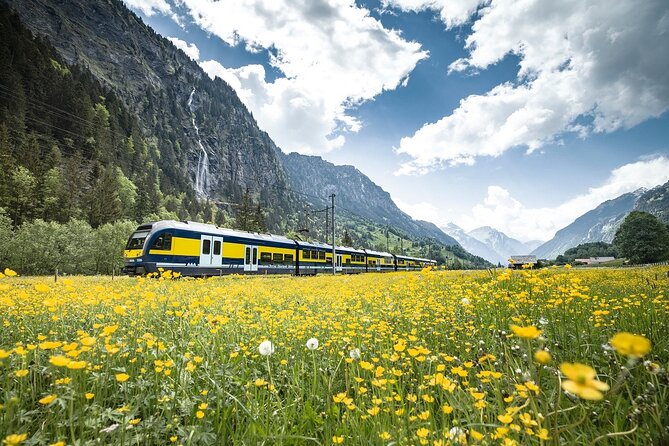 Grindelwald First - Top of Adventure From Zurich - The Sum Up