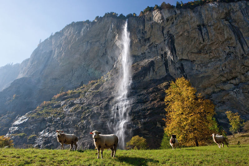 Grindelwald, Lauterbrunnen and Interlaken Day Tour with Transport - Should you book this Jungfrau day tour?