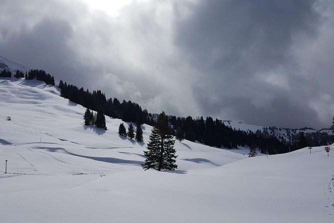 Grindelwald, Lauterbrunnen, Mürren - Top Tour From Interlaken - Transportation Options for the Tour