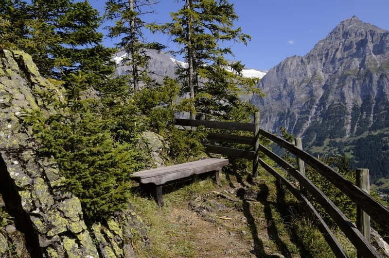 Grindelwald Private Walking tour - A Complete Look at the Grindelwald Private Walking Tour