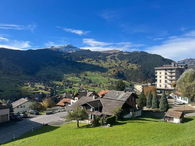 Grindelwald Private Walking tour - Why Choose This Tour?
