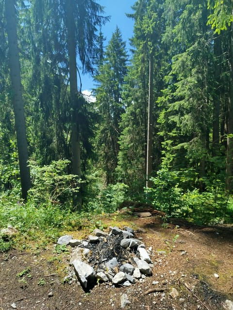 Grindelwalds Captivating Hike to Glacier Canyon - Important Considerations