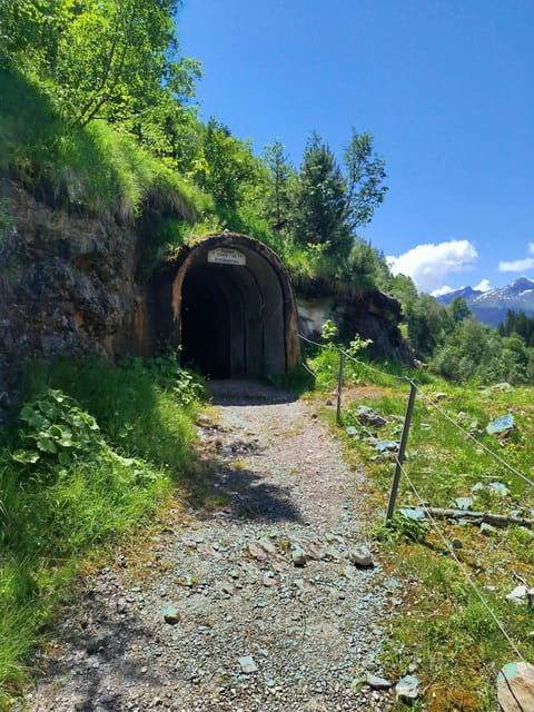 Grindelwalds Captivating Hike to Glacier Canyon - Pricing and Availability