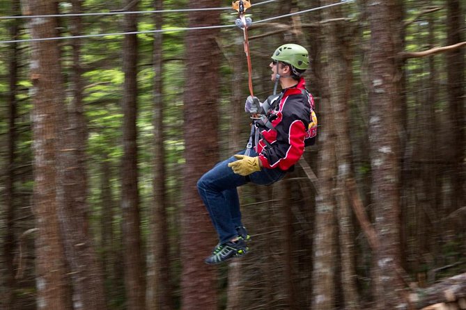Grizzly Falls Ziplining Expedition - The Sum Up