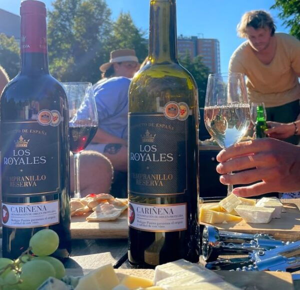 Groningen: Evening Cheese and Wine Cruise - Cheese and Wine Pairing