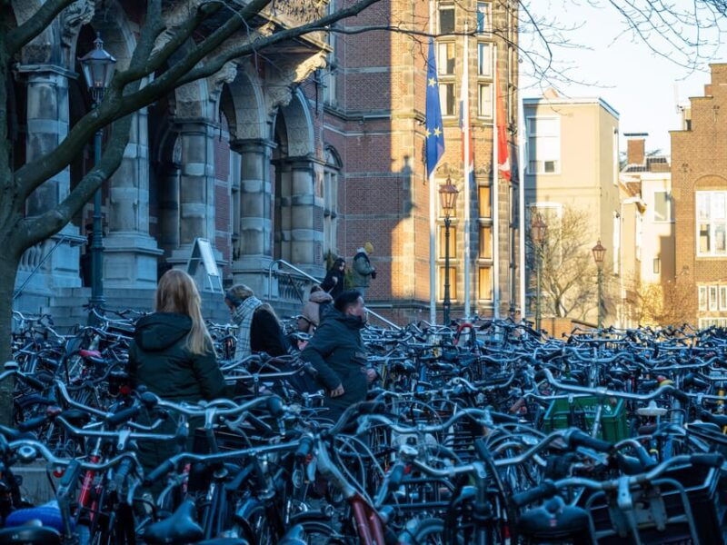 Groningen: Walking Tour with Local Guide - Exploring Groningen’s Rich History in 1.5 Hours