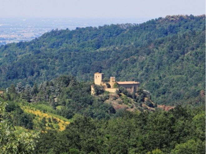 Gropparello: Castle of Groppare Historical Guided Tour - Tour Experience and Language Preferences