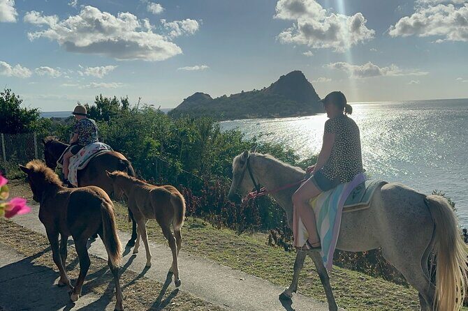 Gros Islet Village Horseback Riding run with Dore's riding Stable - An Overview of the Experience