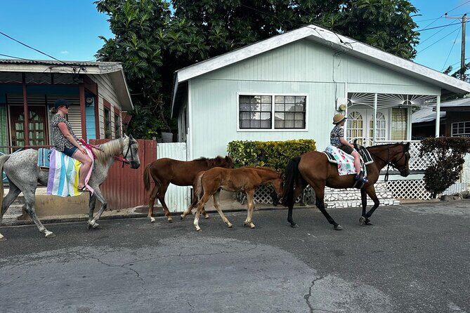 Gros Islet Village Horseback Riding run with Dore's riding Stable - Practical Details