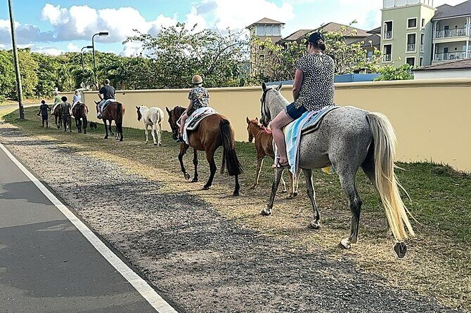 Gros Islet Village Horseback Riding run with Dore's riding Stable - Authentic, Family-Friendly Adventure