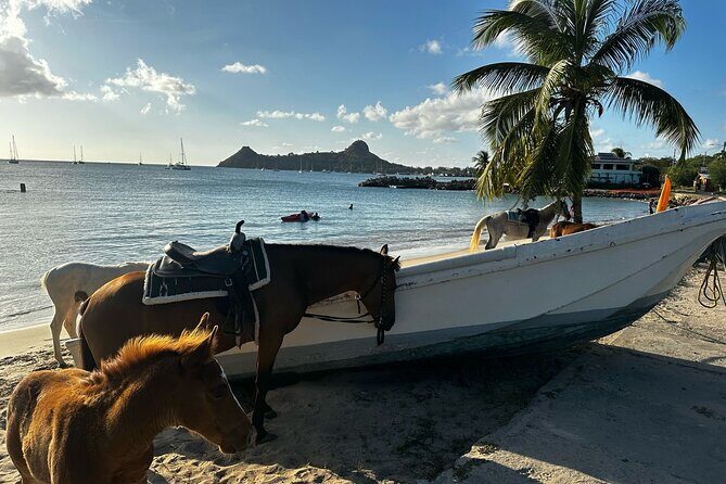 Gros Islet Village Horseback Riding run with Dore's riding Stable - Why Choose This Tour?