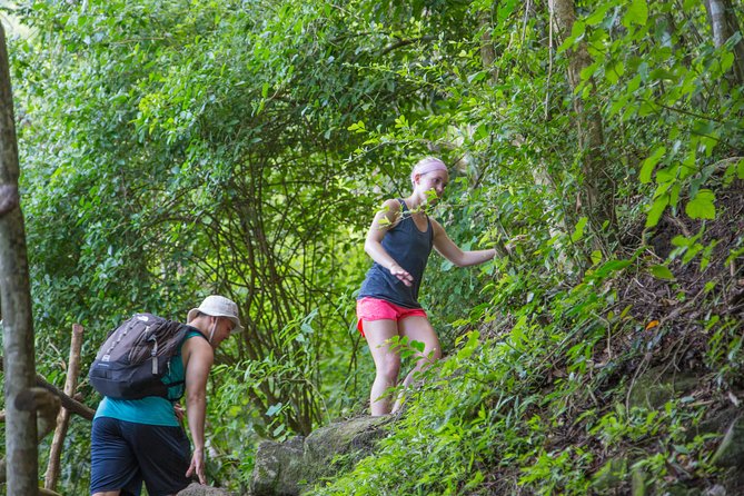 Gros Piton Hike - Traveler Photos and Reviews