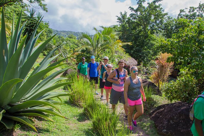 Gros Piton Hike - The Sum Up
