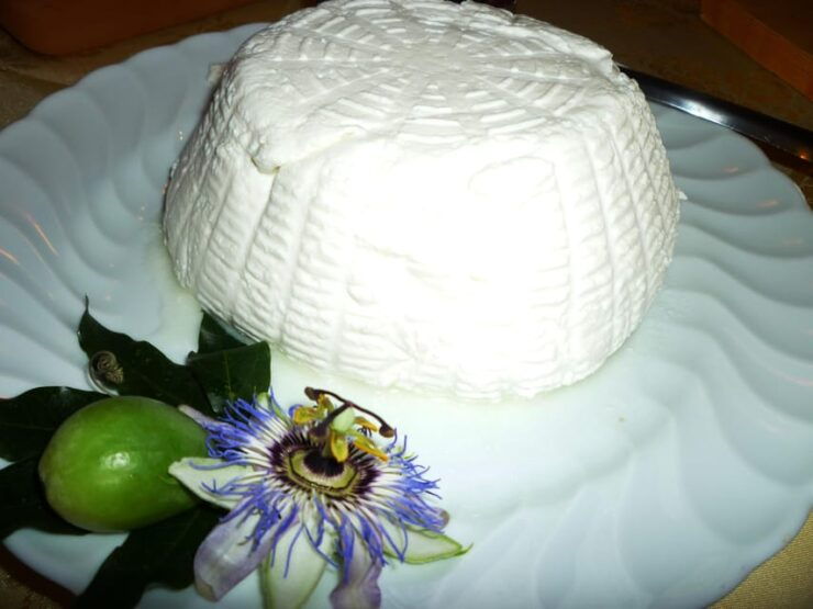 Grosseto: Cellar Tour and Maremma Dinner With Wine Tasting - Tour Highlights