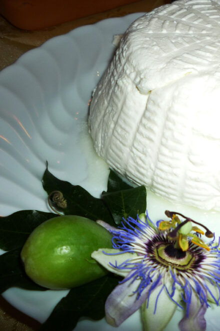 Grosseto: Cellar Tour and Maremma Dinner With Wine Tasting - Dinner Menu
