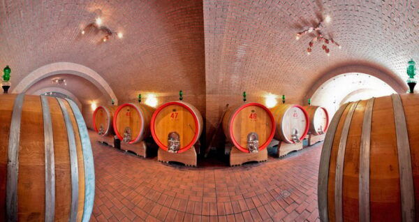 Grosseto: Cellar Tour and Maremma Dinner With Wine Tasting - Customer Feedback